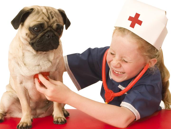 Basin Run Animal Hospital Blog #5- Pet Health Insurance